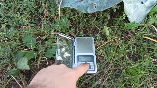 Виноград Преображення. 2020 р. смотреть онлайн