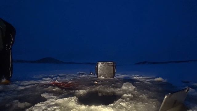 НАЛИМ КЛЕВАЛ ВСЕ КРУПНЕЕ И КРУПНЕЕ !!! смотреть онлайн