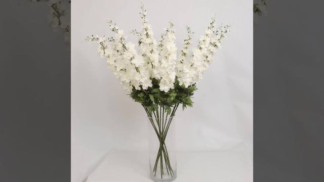 Delphinium Spray смотреть онлайн