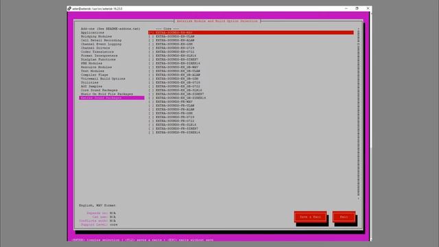 УСТАНОВКА ASTERISK НА UBUNTU SERVER. ПОШОГОВОЕ РУКОВОДСТВО ДЛЯ НОВИЧКОВ)) смотреть онлайн