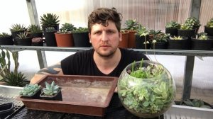 Кокосовый субстрат для суккулентов - опыт Мастера Георгия