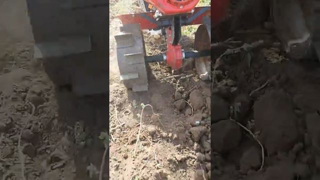 мотоблок с картофеле-копалкой смотреть онлайн