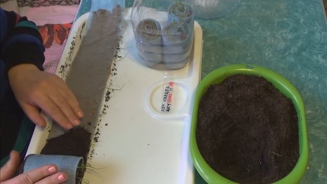 Выращивание лука за один сезон из семян. Подсыпание земли в самокрутки (улитки) смотреть онлайн