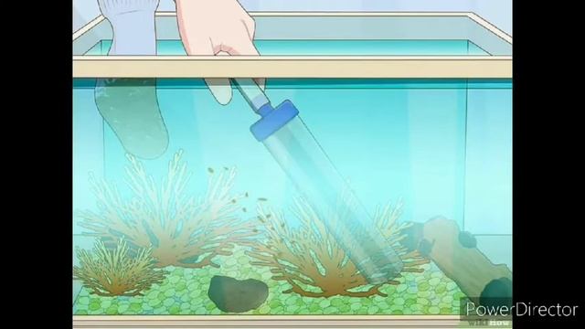 Тема недели: Аквариумные рыбки