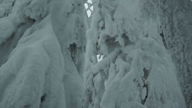 Шунут зимой смотреть онлайн
