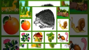 Занятие по развитию речи на тему :Рассказывание по картине "Ежи"