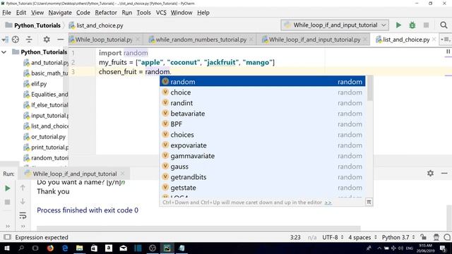 python 3 list and choice смотреть онлайн