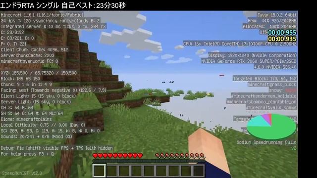 エンドラRTA 参加型 #256 【マイクラ Java版 1.16.1】 смотреть онлайн