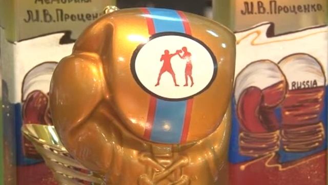 В Заречном стартовал XIIX Всероссийский турнир по боксу смотреть онлайн