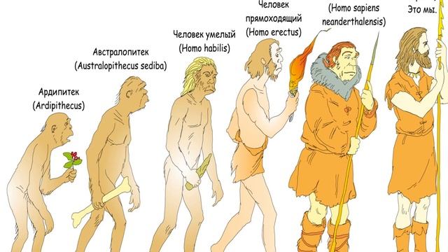 Что Вы знаете о неандертальцах? смотреть онлайн
