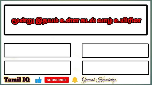 Tamil General Knowledge l General Knowledge Questions And Answers In Tamil смотреть онлайн