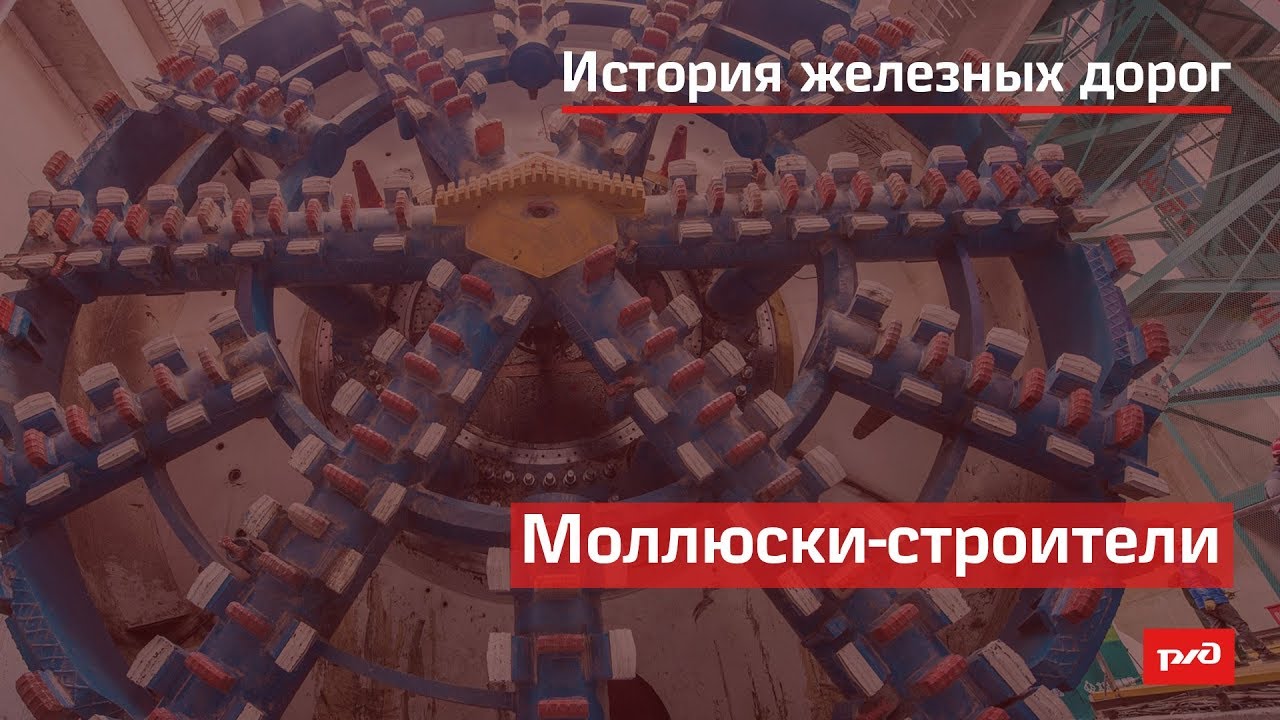 Моллюски-строители смотреть онлайн