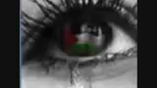 FALASTEEN 3ARABIA (fahim Dandan)