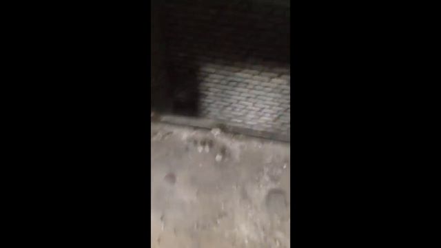 Завод Кристалл #8 смотреть онлайн