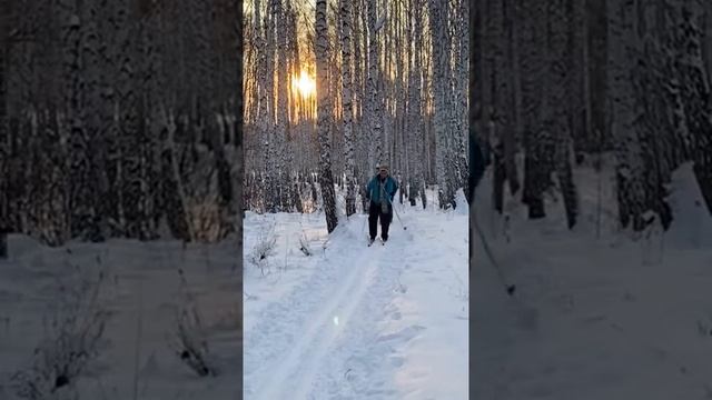 Мой день. Январь 2021. Прокладка лыжни, езда в аргаяшском лесу, вечернее катание на тюбингах смотреть онлайн