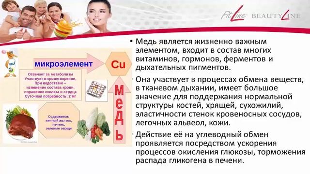 Ресторейт FitLine для спорта и фитнеса смотреть онлайн
