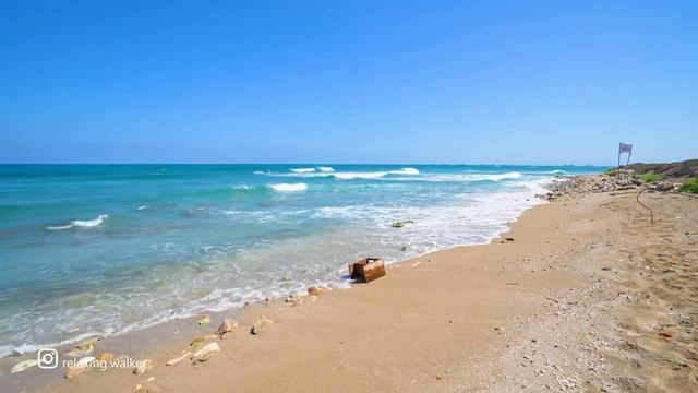 Amazing Nature in Israel. Mediterranean Sea. The City of HAIFA смотреть онлайн