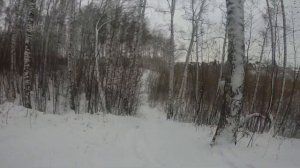 СТЕЛС ДИНЛИ 800. НЕ ПЛОХОЙ БЮТЖЕТНЫЙ КВАДРОЦИКЛ...