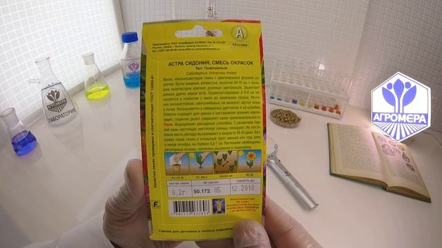 Астра Сидония смесь окрасок. Аэлита смотреть онлайн