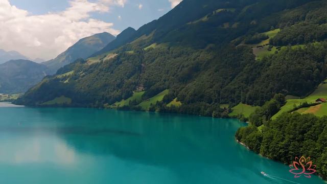 Музыка для лечения сердца и нервной системы 🌿 Нежная музыка для души и жизни смотреть онлайн