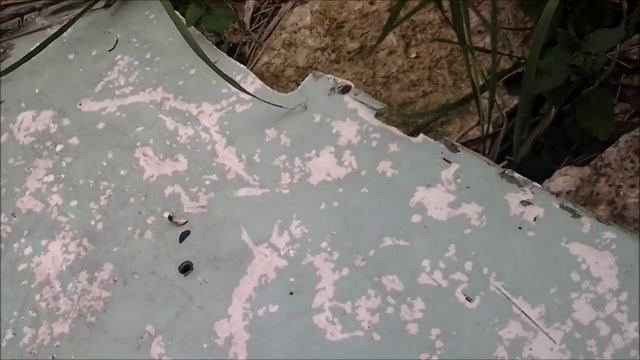 Naljakas hiir Kostiverest l Забавная мышь из Костивере l Funny mouse from Kostivere смотреть онлайн