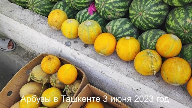 Арбузы в Ташкенте