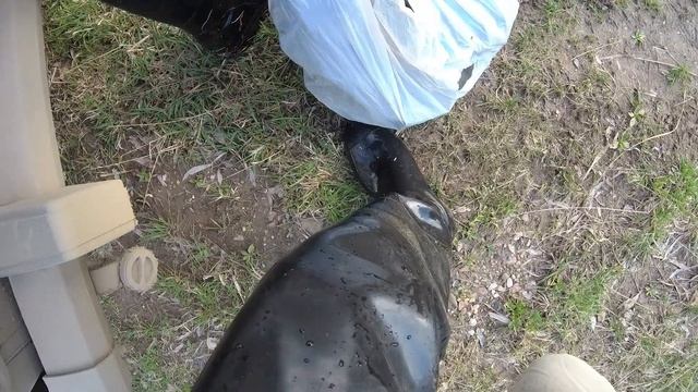 Еду в тайгу. Дико красиво. Усть-ишимский район, рыбалка весна 2020. смотреть онлайн