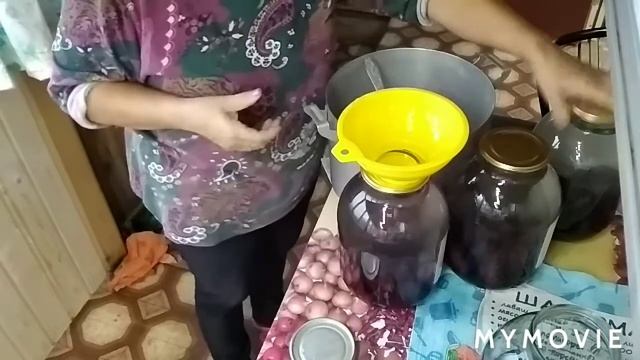 Vlog#Жизнь на даче#Осенние заготовки#Компот из слив и винограда # Надежа. Обо всем понемногу.# смотреть онлайн