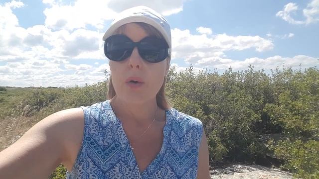 НЕ НОРМАЛЬНО! КУСОЧКИ ЕДЫ в КАКАШКАХ! Что это значит? Советы французского нутрициолога смотреть онлайн