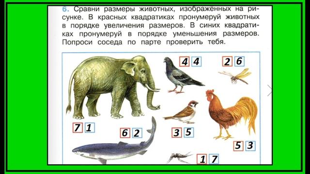 Какие бывают животные 6 задание. Окружающий мир 2 класс рабочая тетрадь. Больше, меньше смотреть онлайн