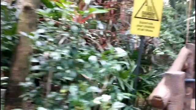 Sunway Lagoon Theme Park, Malaysia - Malaysia Adventure(2018) || Alex JeanTV смотреть онлайн