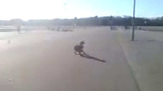 Theresienwiese Skateboarding смотреть онлайн