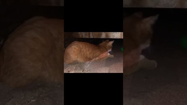 Кто это?🫣😳 смотреть онлайн
