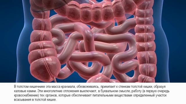 Коварный крахмал. В чём заключается вред?