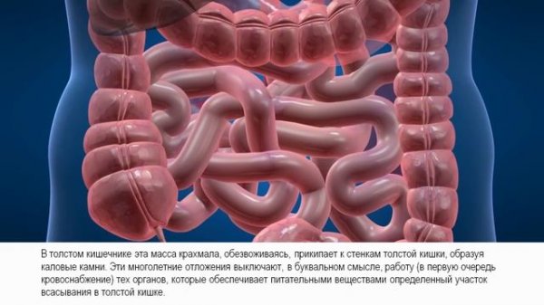 Коварный крахмал. В чём заключается вред?