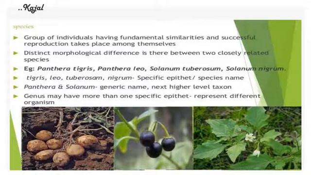 The Living World - Presentation смотреть онлайн