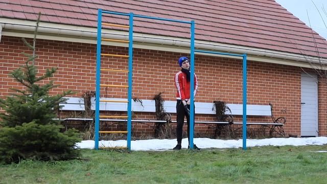 Тренировка ВОРКАУТ (КАЛИСТЕНИКА) для начинающих / calisthenics program смотреть онлайн
