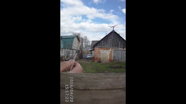 Вакцинация голубей. | Правила вакцинирования голубей