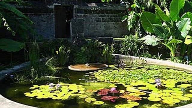 Daddy Fell Into The Pond - Alfred Noyes