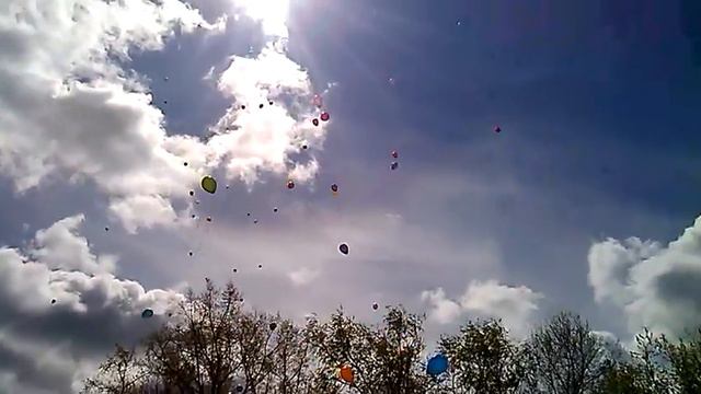 Контора Шариковых - Школа 140, Новосибирск смотреть онлайн