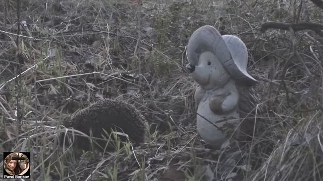 Ежики. Встретил Еж Ежа Фигурку. Что Ежик будет делать? Про ежика ВИДЕО смотреть онлайн
