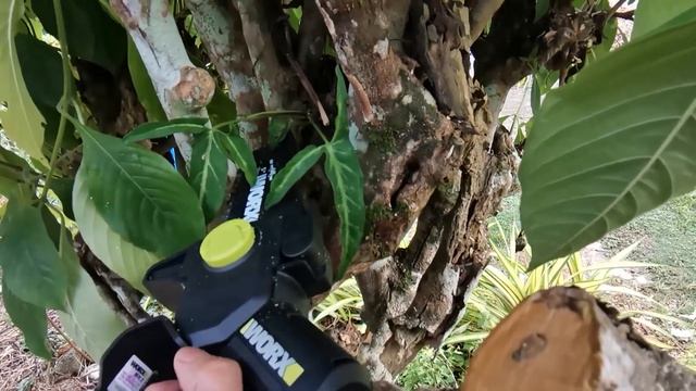 WORX WD331 20V CORDLESS BRUSHLESS CHAINSAW