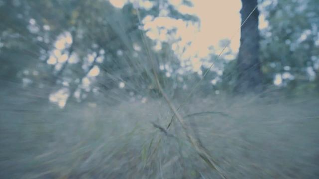 ЗАВОДНОЙ АПЕЛЬСИН. (Sony a6300 S-Log 3) смотреть онлайн