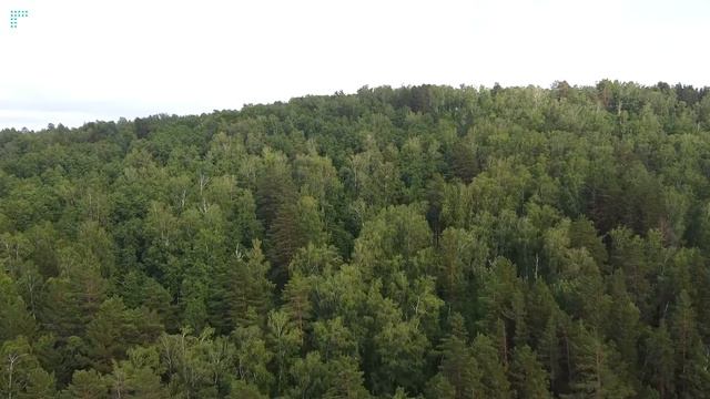 Где лучше купить квартиру в Подмосковье? смотреть онлайн