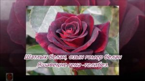 Туган конен белэн! Туган көнең белән! С днем рождения!