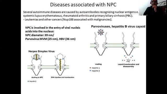 Part2; The Nucleus смотреть онлайн