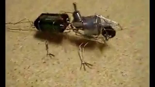 ходячий "Скелет саламандры" смотреть онлайн