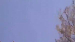 Невероятно ! Ангелы, снятые на видео !