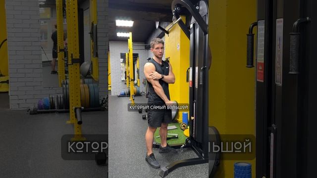 ЛОКТИ МОЖНО НЕ ПРИЖИМАТЬ? смотреть онлайн