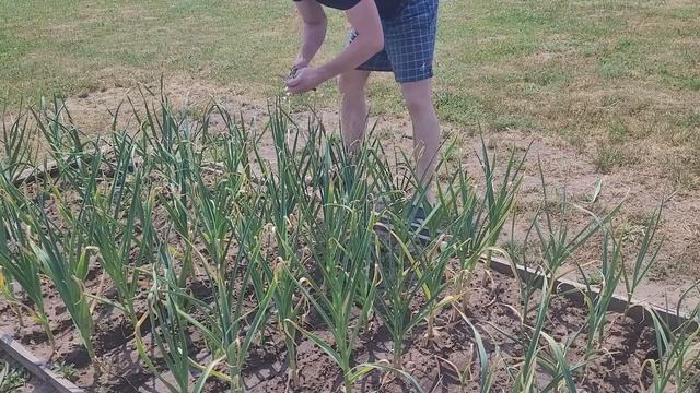 Внутренняя гармония смотреть онлайн